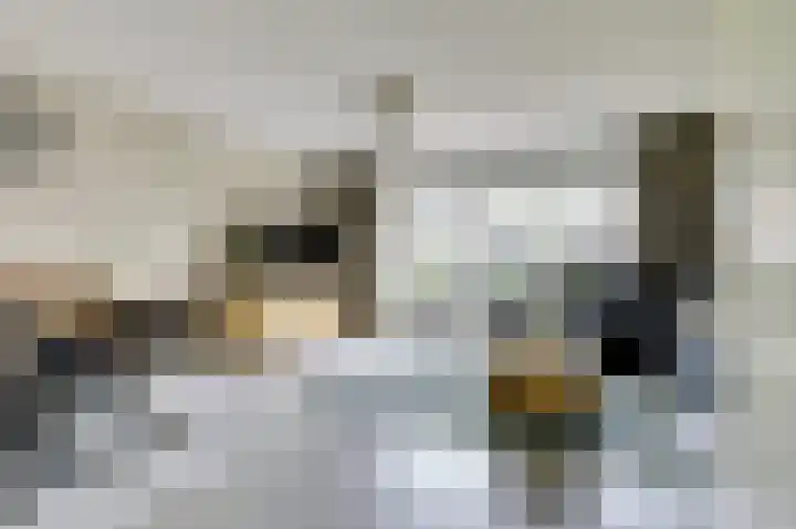 het Laantje 29 Hagestein thumbnail 7
