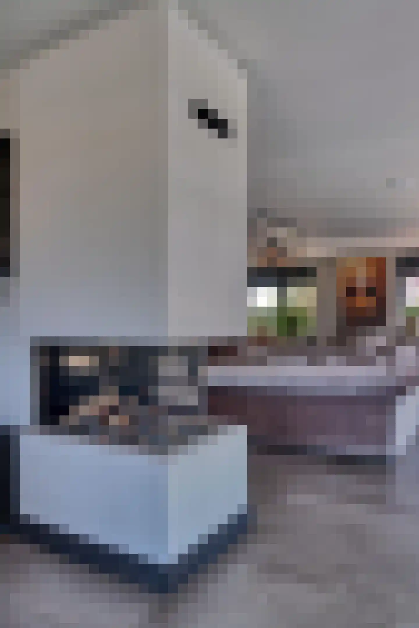 Het Laantje 39 Noordwijk thumbnail 13