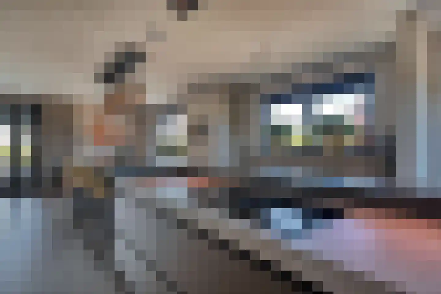 Het Laantje 39 Noordwijk thumbnail 16