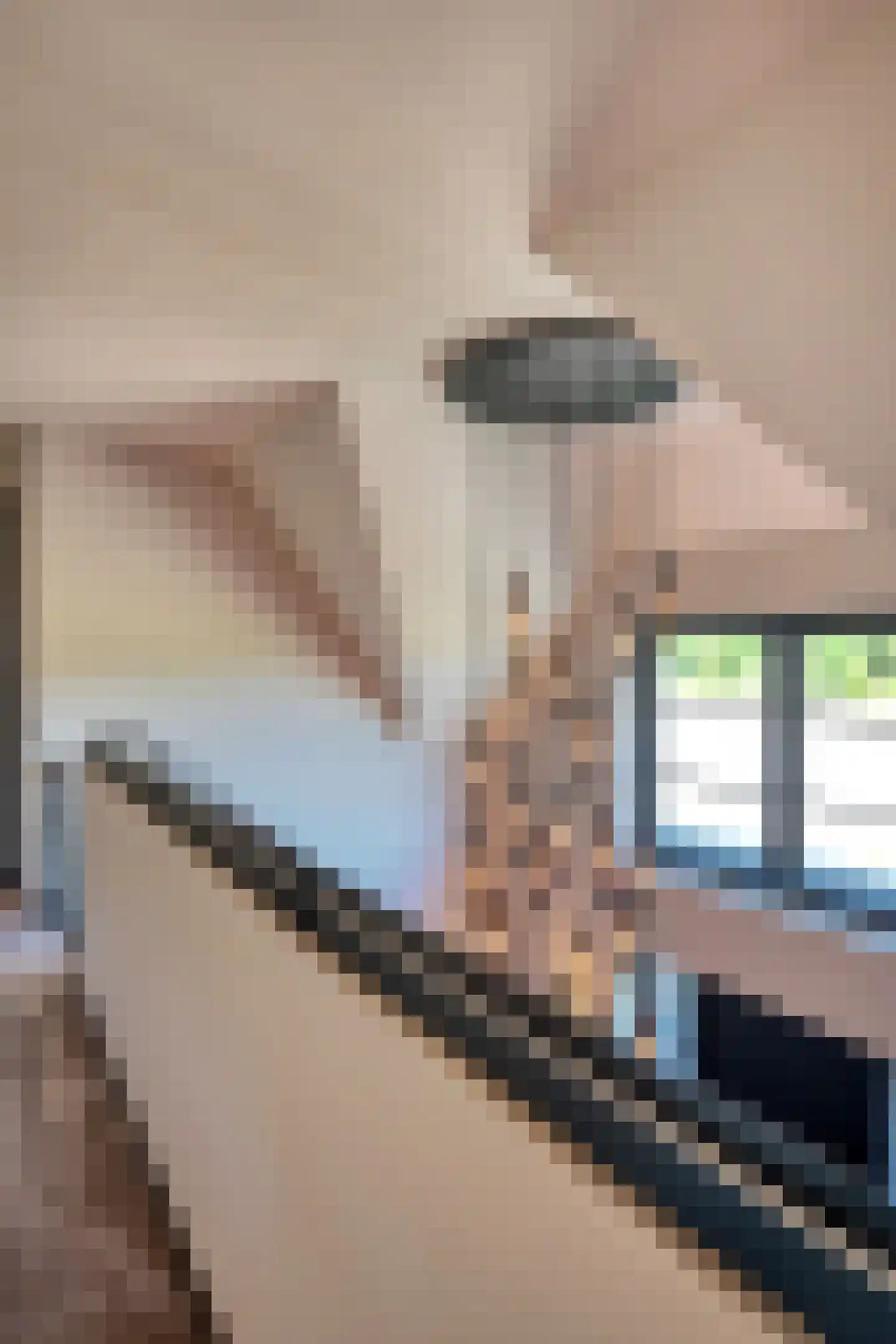 Het Laantje 39 Noordwijk thumbnail 23