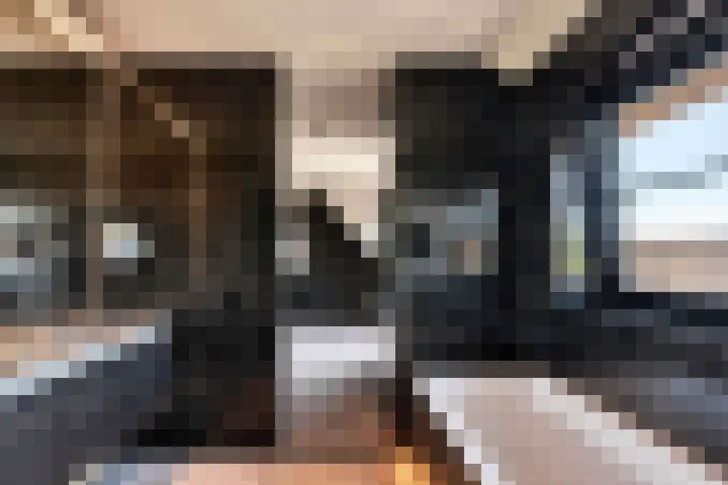 Het Laantje 39 Noordwijk thumbnail 29