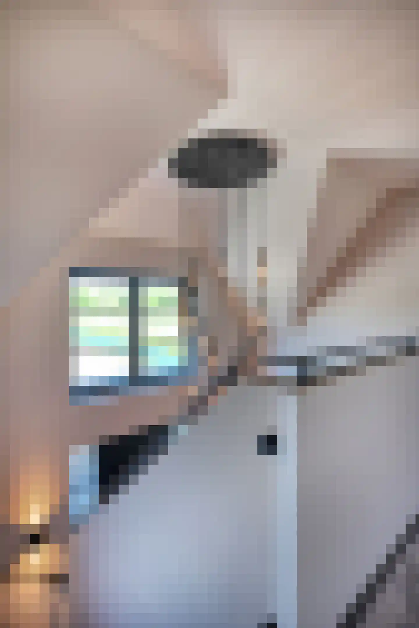 Het Laantje 39 Noordwijk thumbnail 34