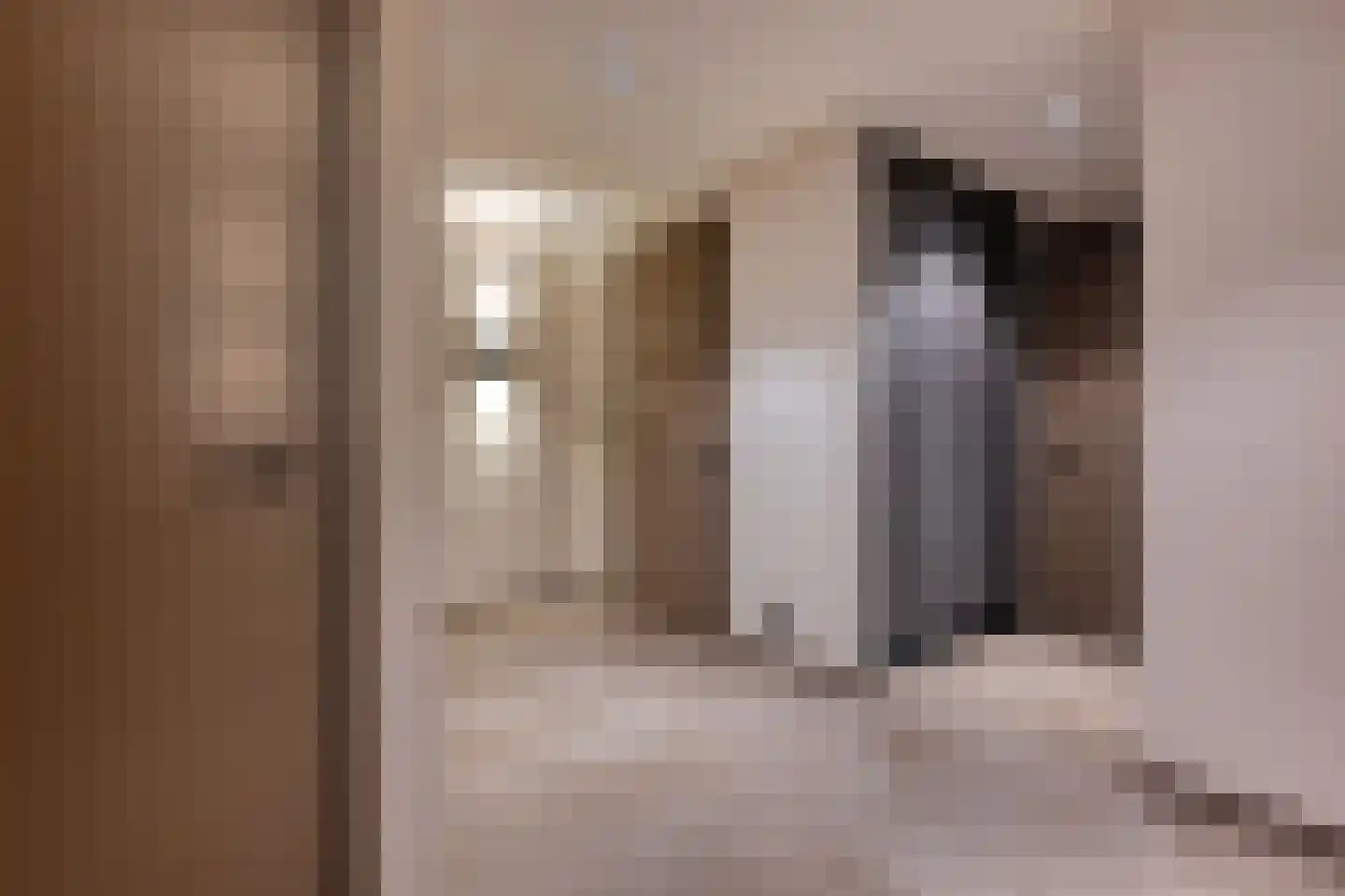 Het Laantje 39 Noordwijk thumbnail 37