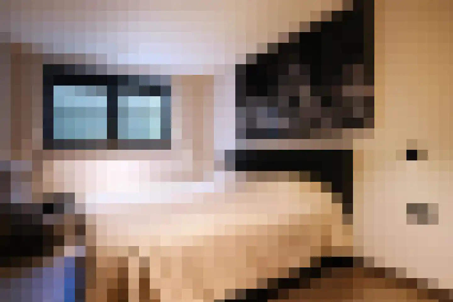 Het Laantje 39 Noordwijk thumbnail 38