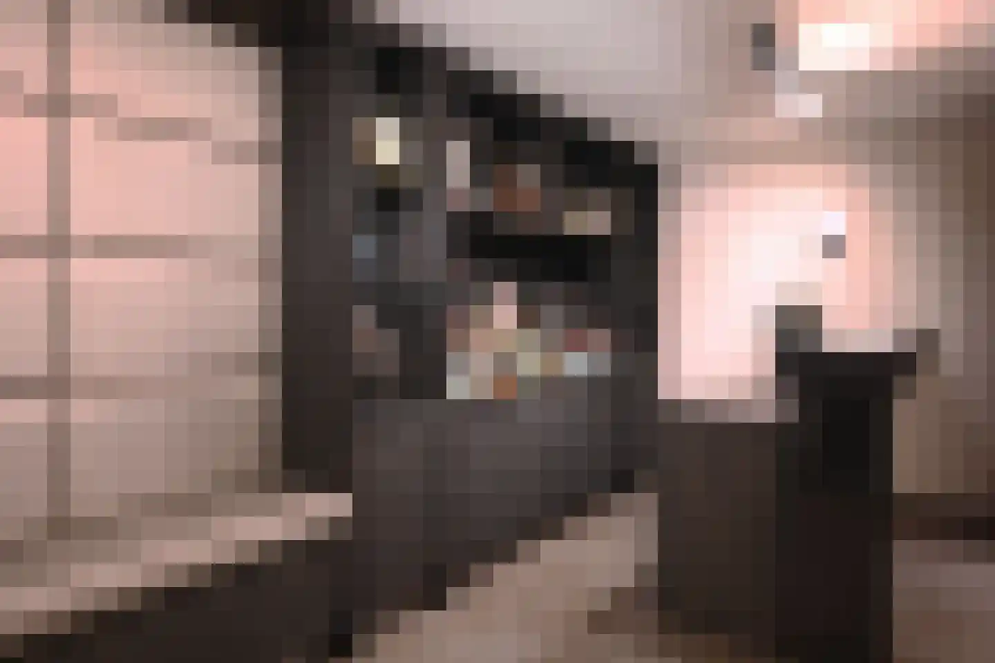 Het Laantje 39 Noordwijk thumbnail 40