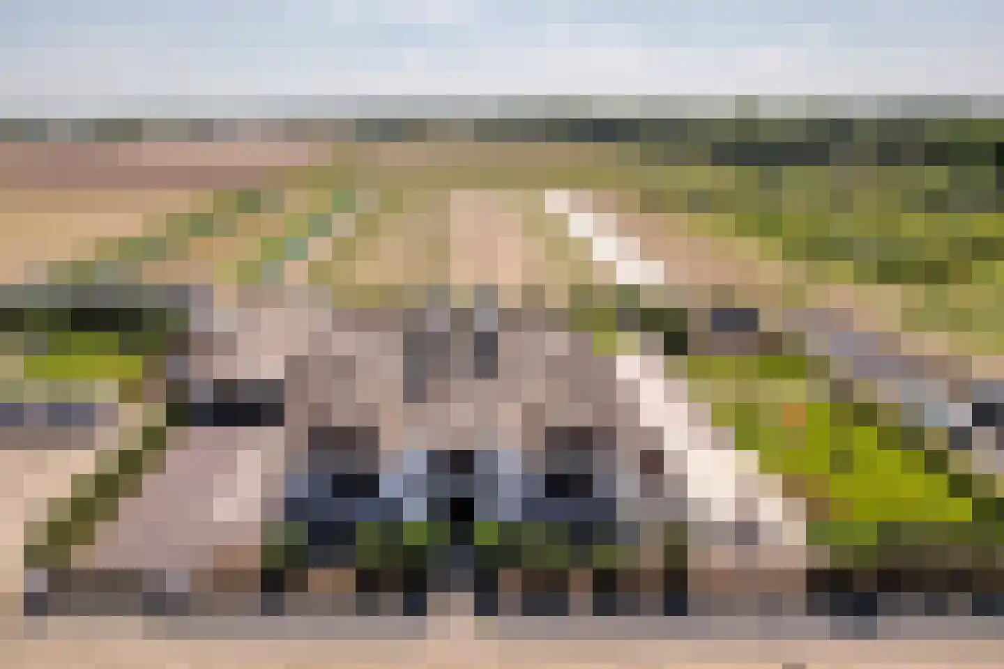 Het Laantje 39 Noordwijk thumbnail 5