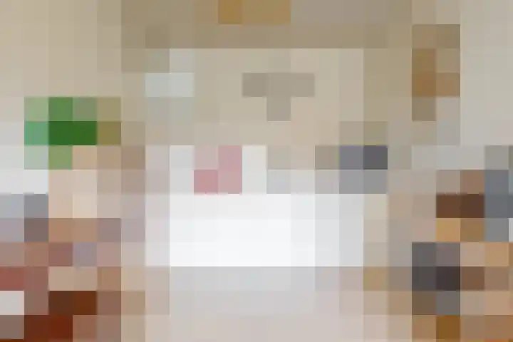 het Laantje 4 B Espel thumbnail 10