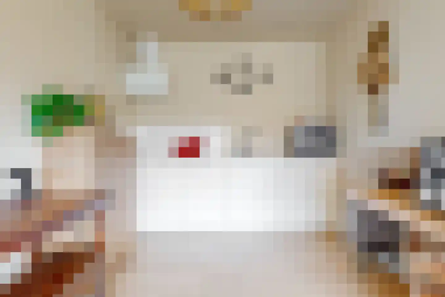 het Laantje 4 B Espel thumbnail 10