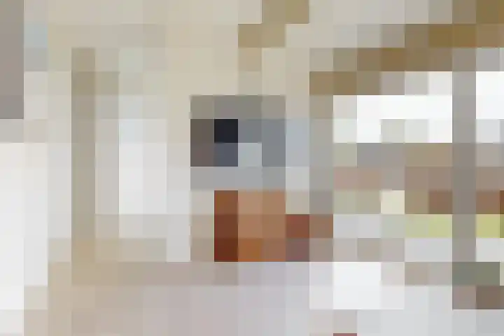 het Laantje 4 B Espel thumbnail 13