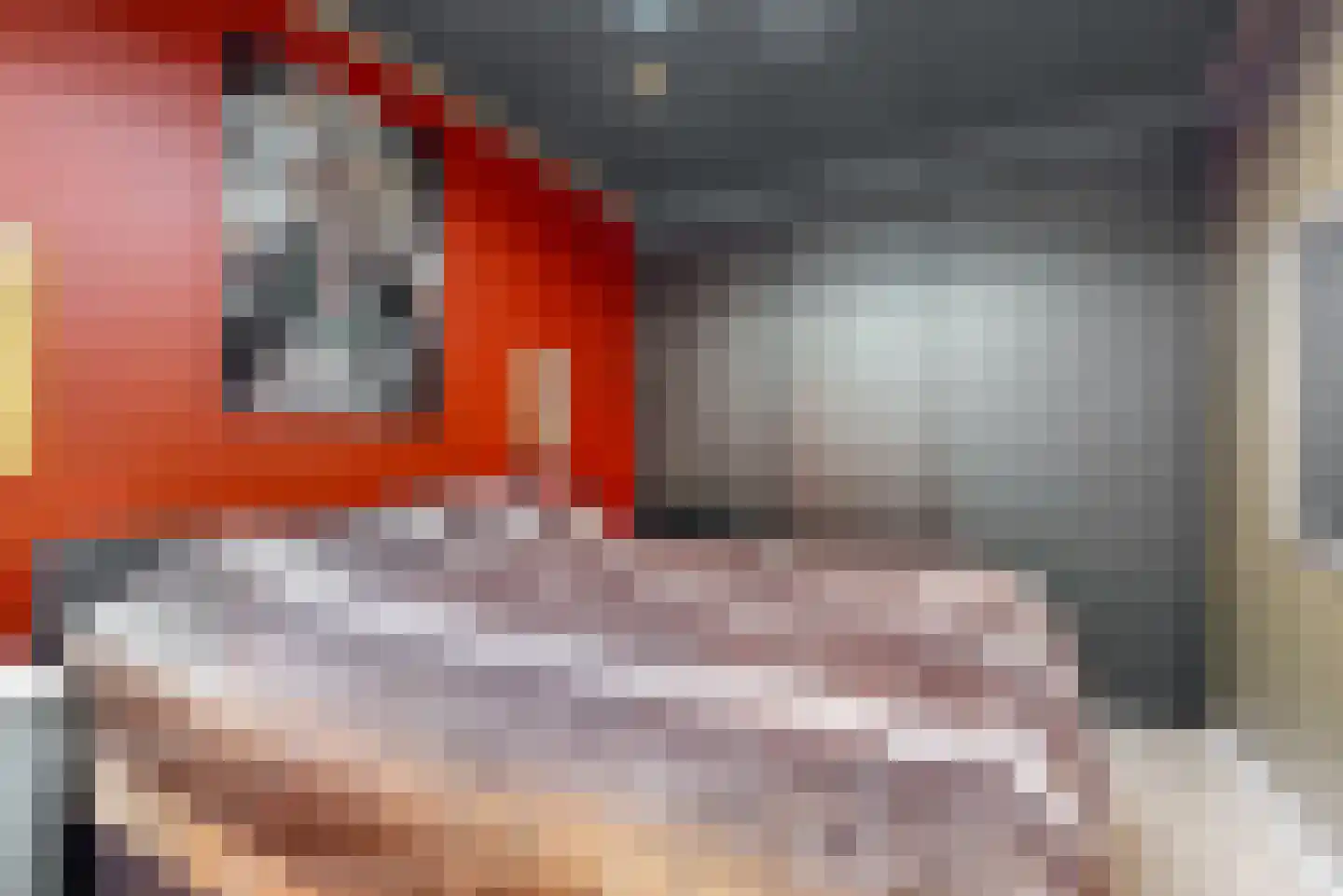 het Laantje 4 B Espel thumbnail 16