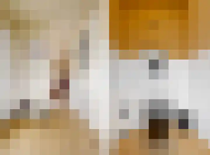 het Laantje 4 B Espel thumbnail 19