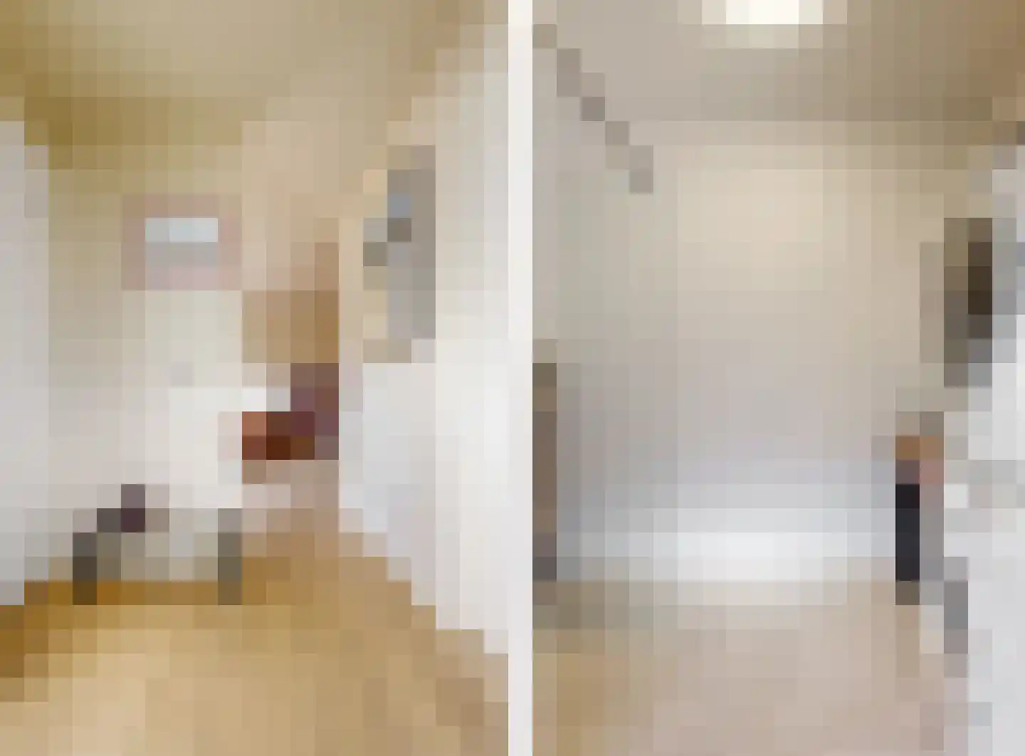 het Laantje 4 B Espel thumbnail 20