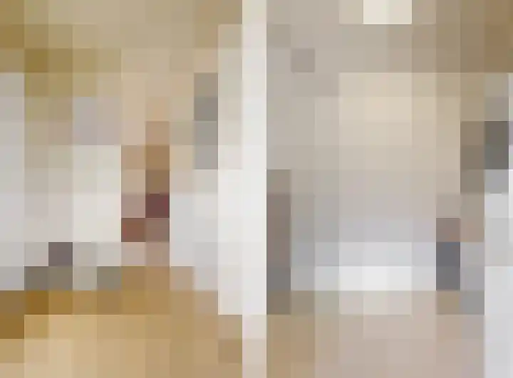 het Laantje 4 B Espel thumbnail 20