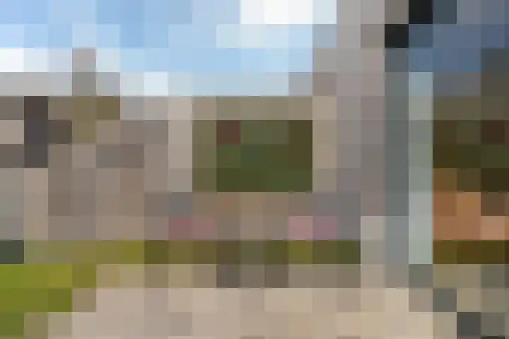 het Laantje 4 B Espel thumbnail 23