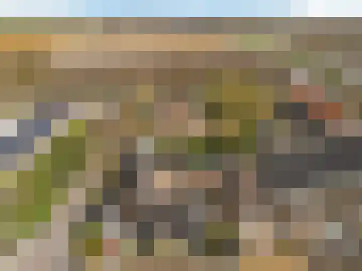 het Laantje 4 B Espel thumbnail 24