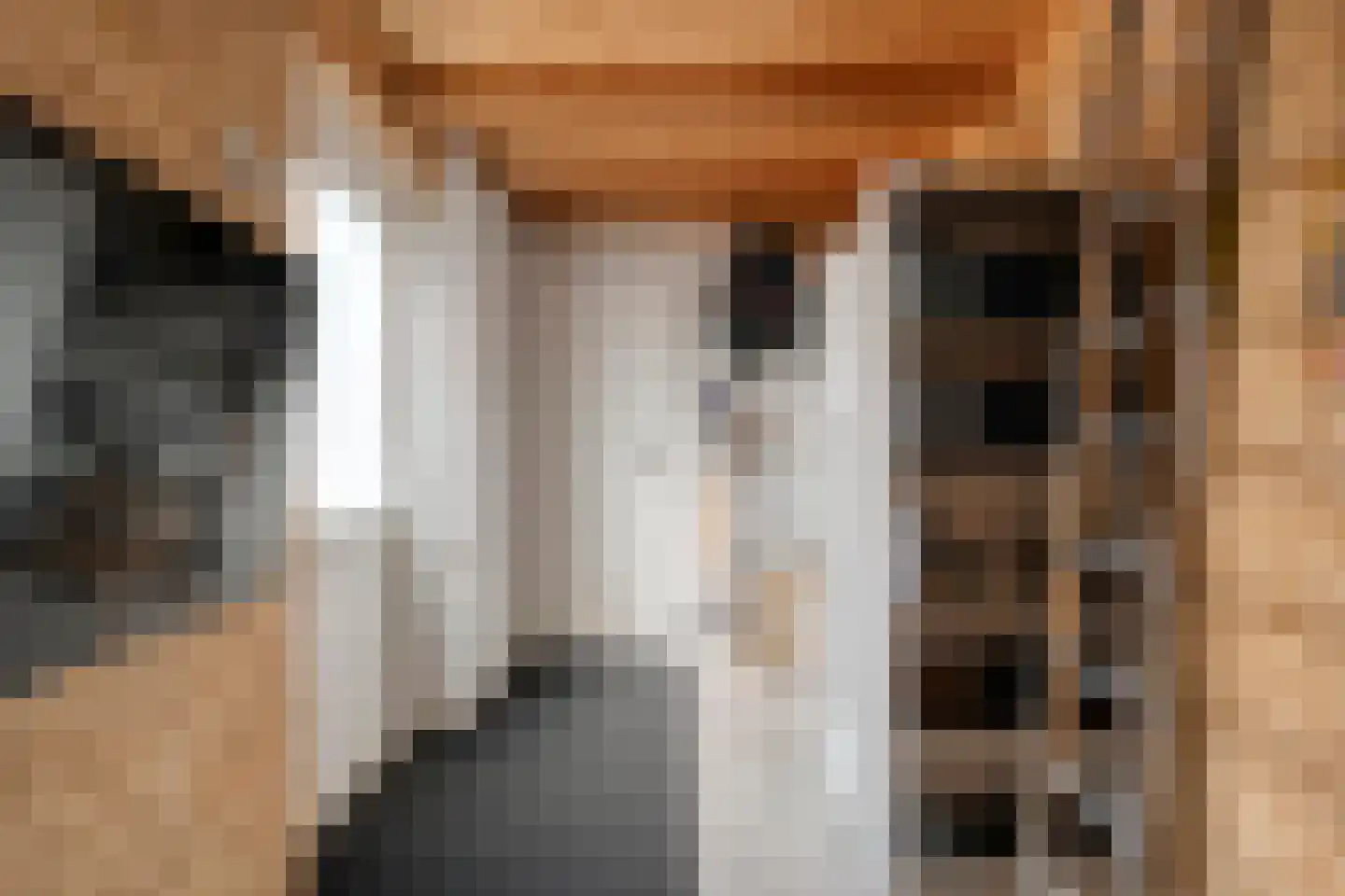 Het Laar 11 Almelo thumbnail 12