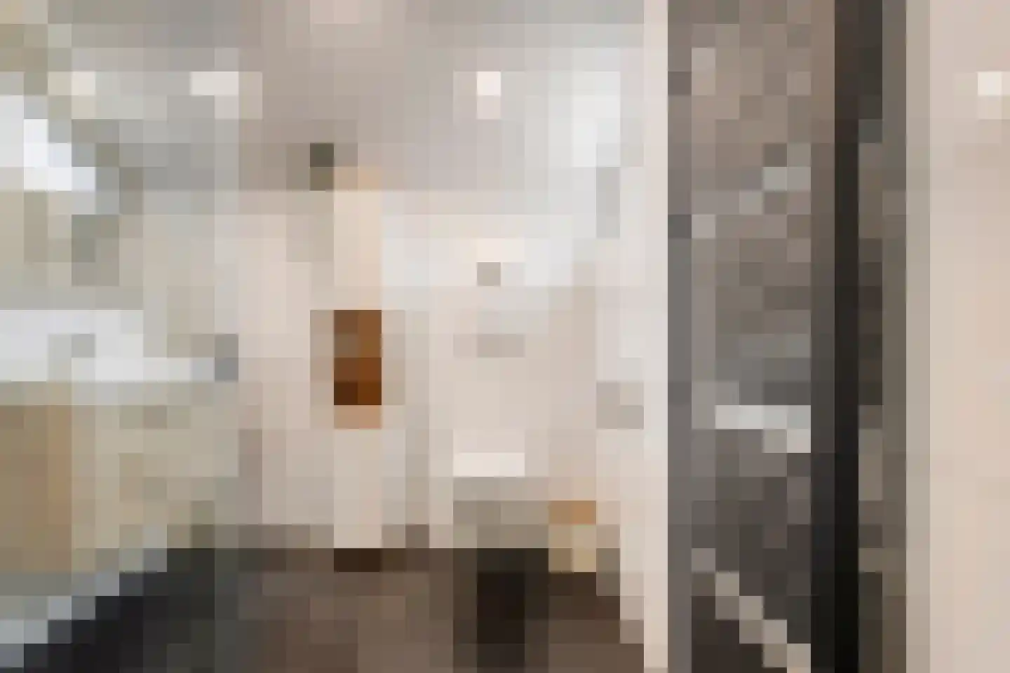 Het Laar 11 Almelo thumbnail 16