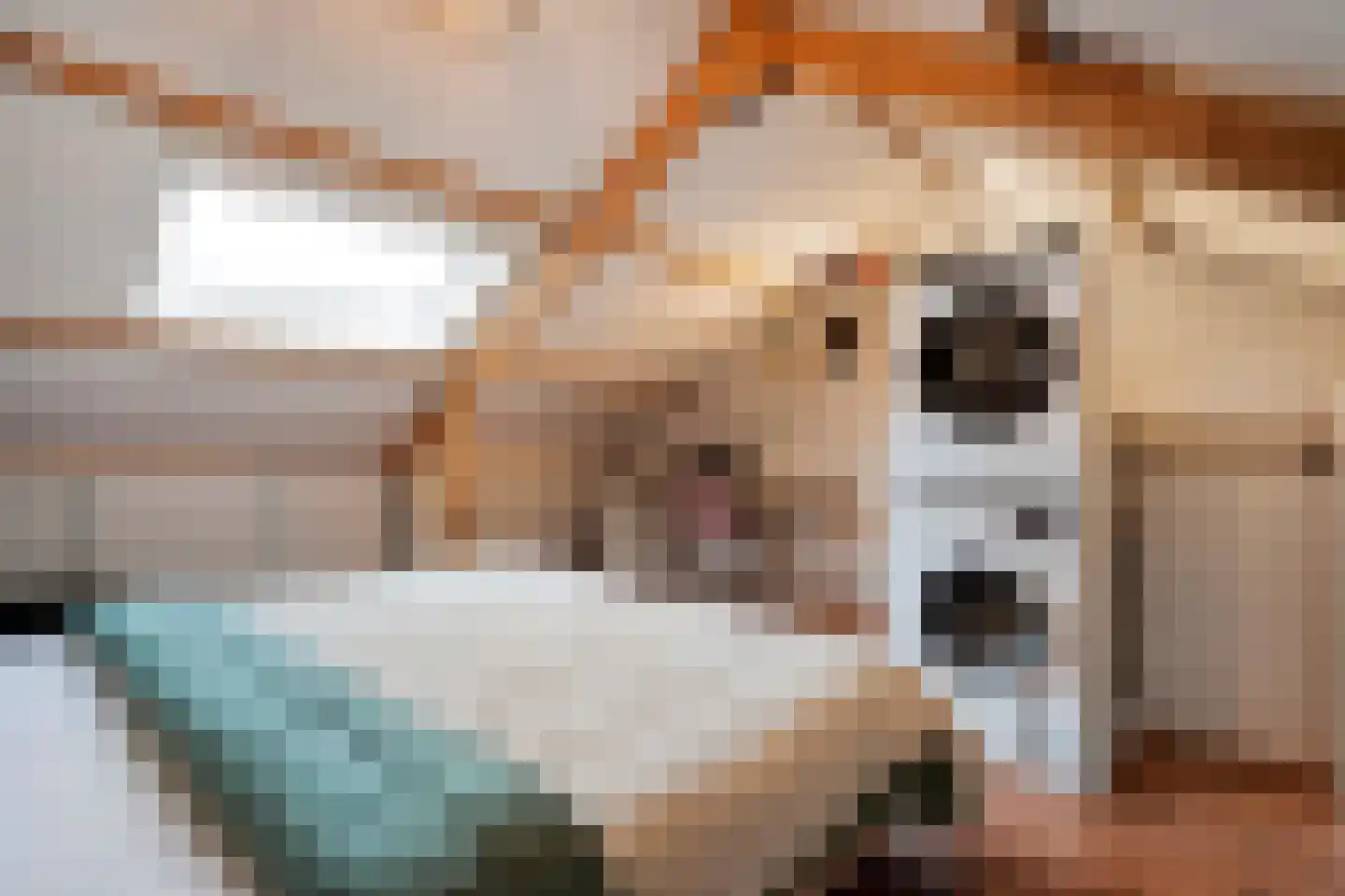 Het Laar 11 Almelo thumbnail 20