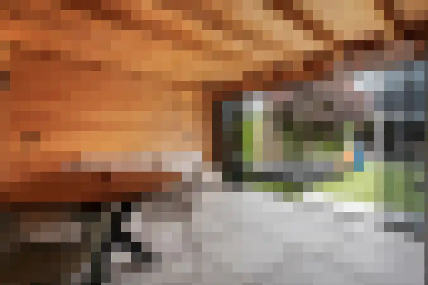 Het Laar 11 Almelo thumbnail 24