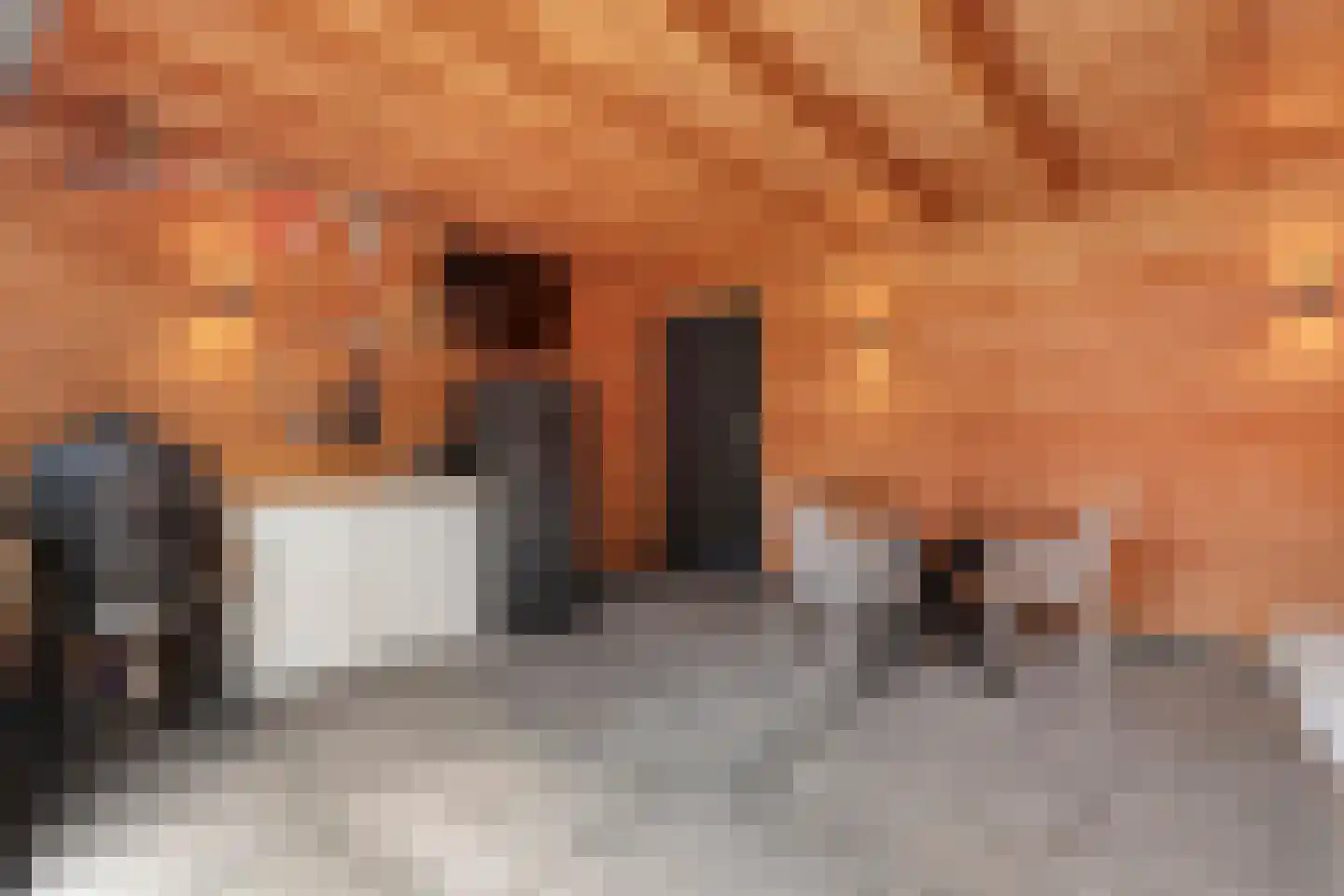 Het Laar 11 Almelo thumbnail 25