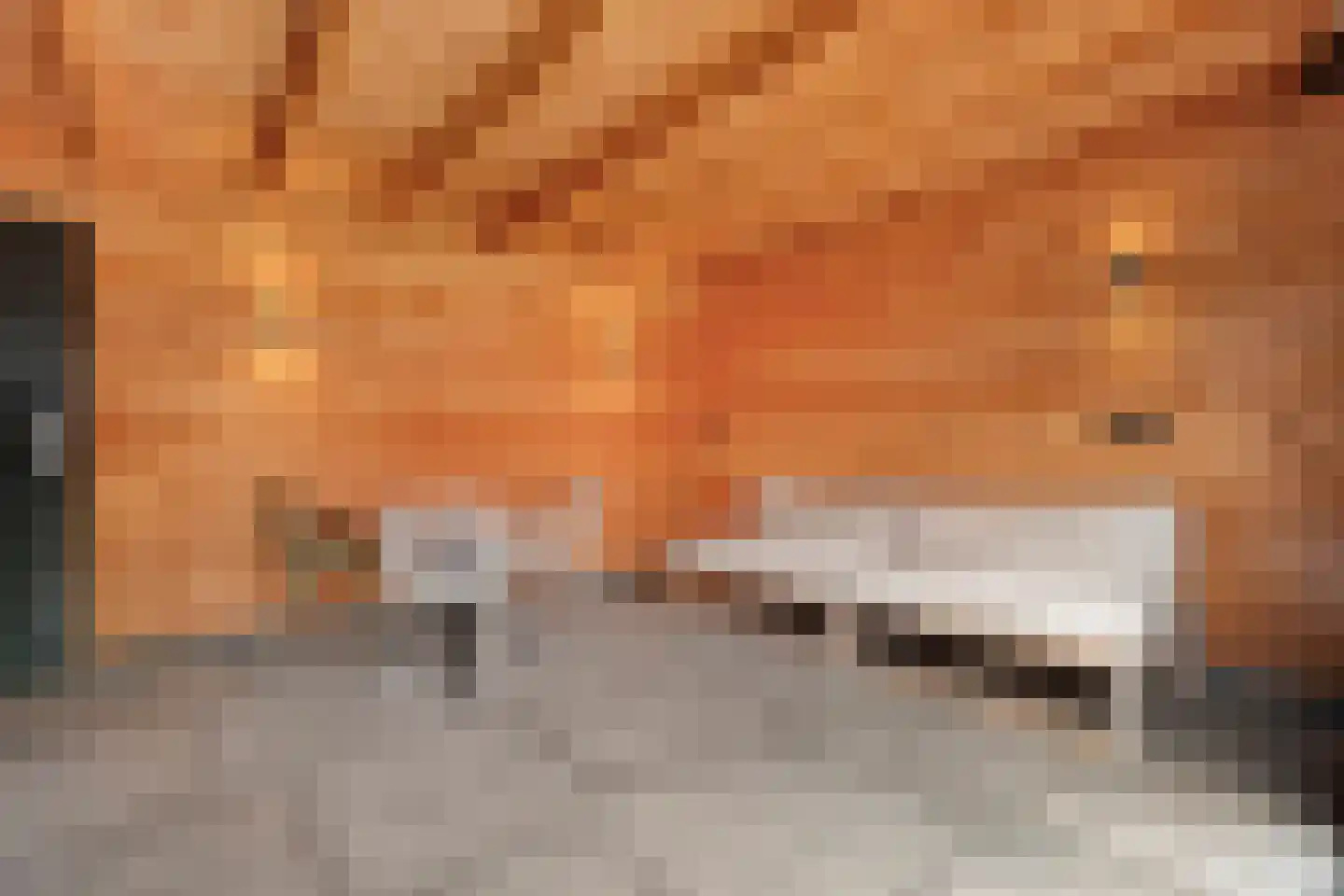 Het Laar 11 Almelo thumbnail 26