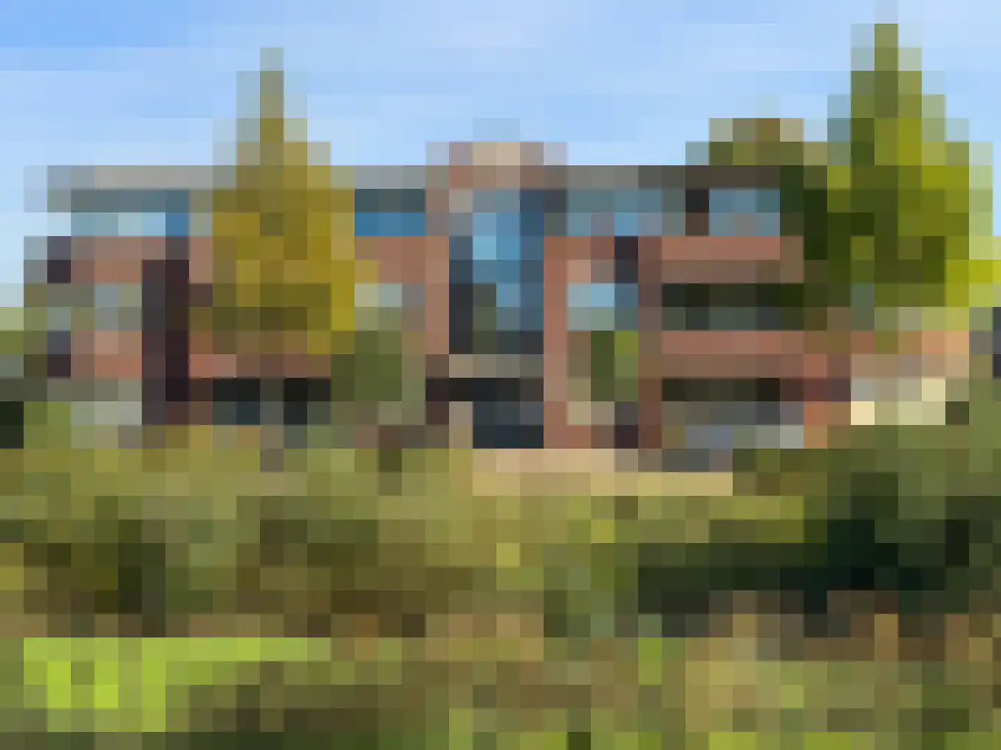 Het Laar 110 in Zundert