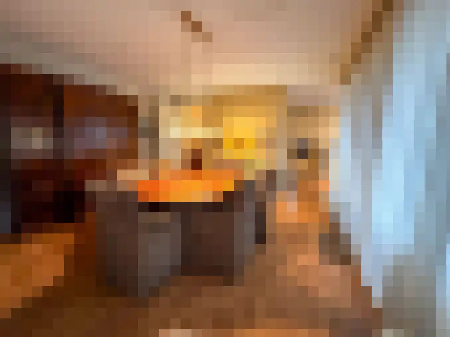 Het Laar 110 Zundert thumbnail 16