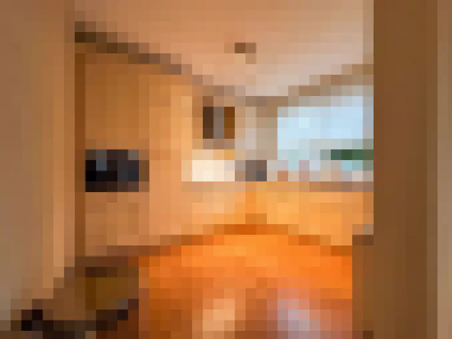 Het Laar 110 Zundert thumbnail 20