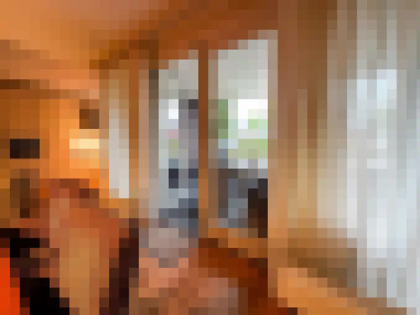 Het Laar 110 Zundert thumbnail 22