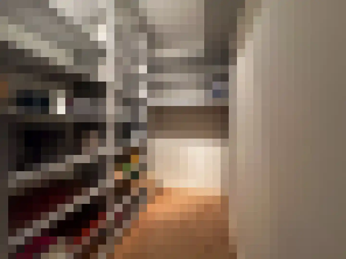 Het Laar 110 Zundert thumbnail 28