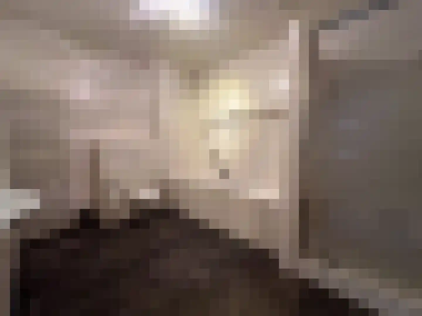 Het Laar 110 Zundert thumbnail 29