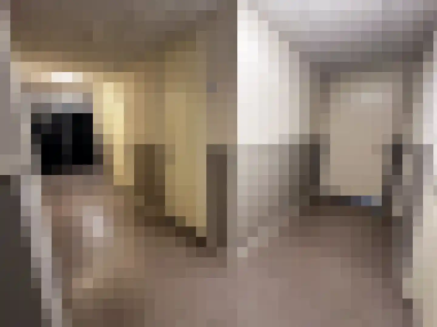 Het Laar 110 Zundert thumbnail 35