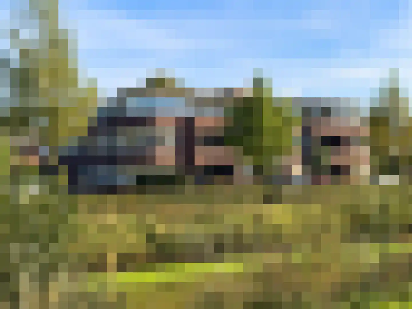 Het Laar 110 Zundert thumbnail 38