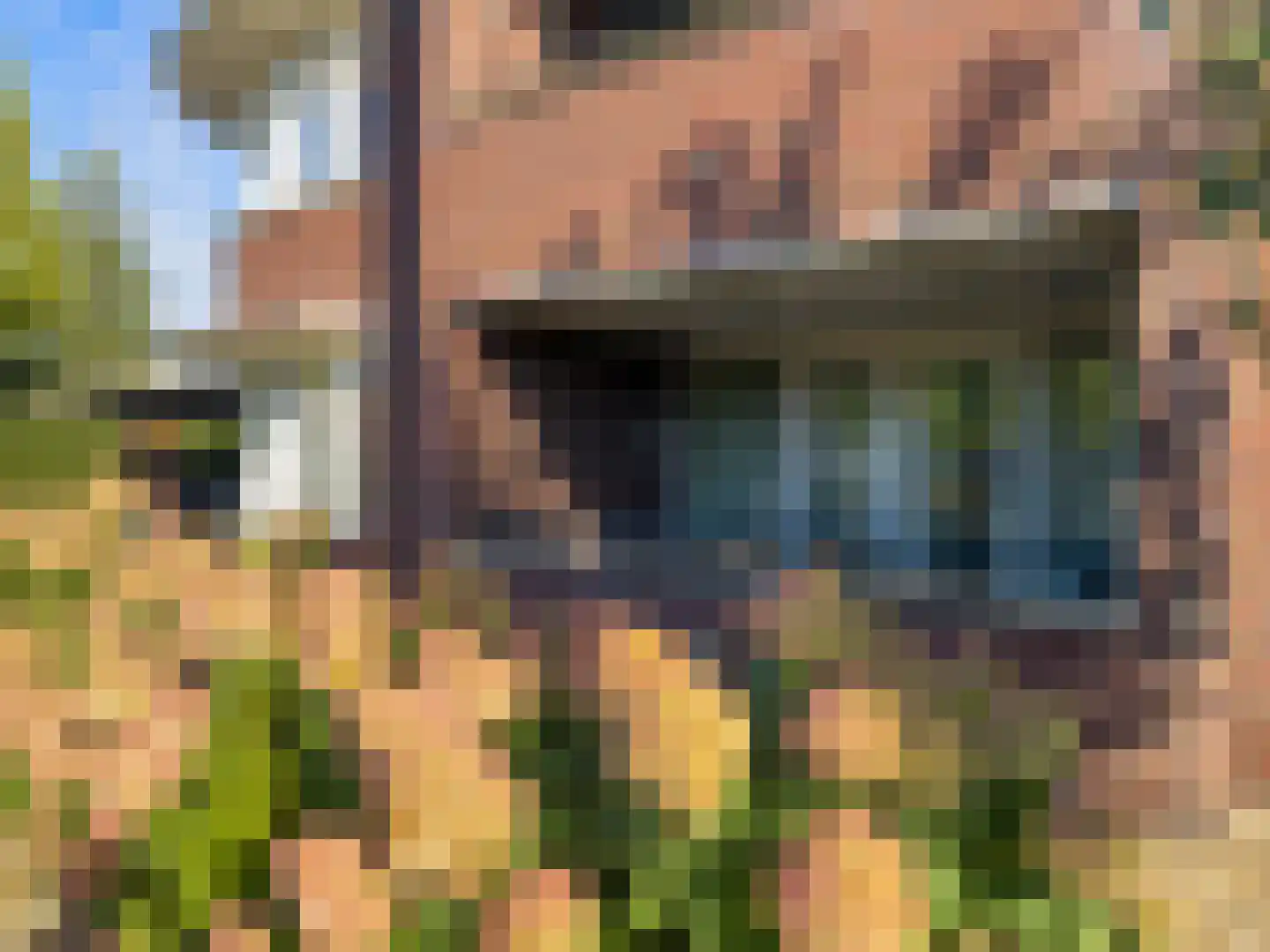 Het Laar 110 Zundert thumbnail 43