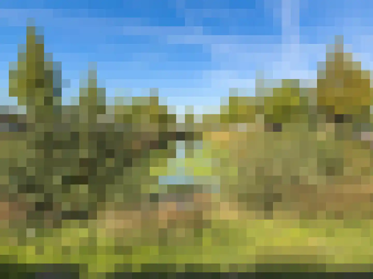 Het Laar 110 Zundert thumbnail 44