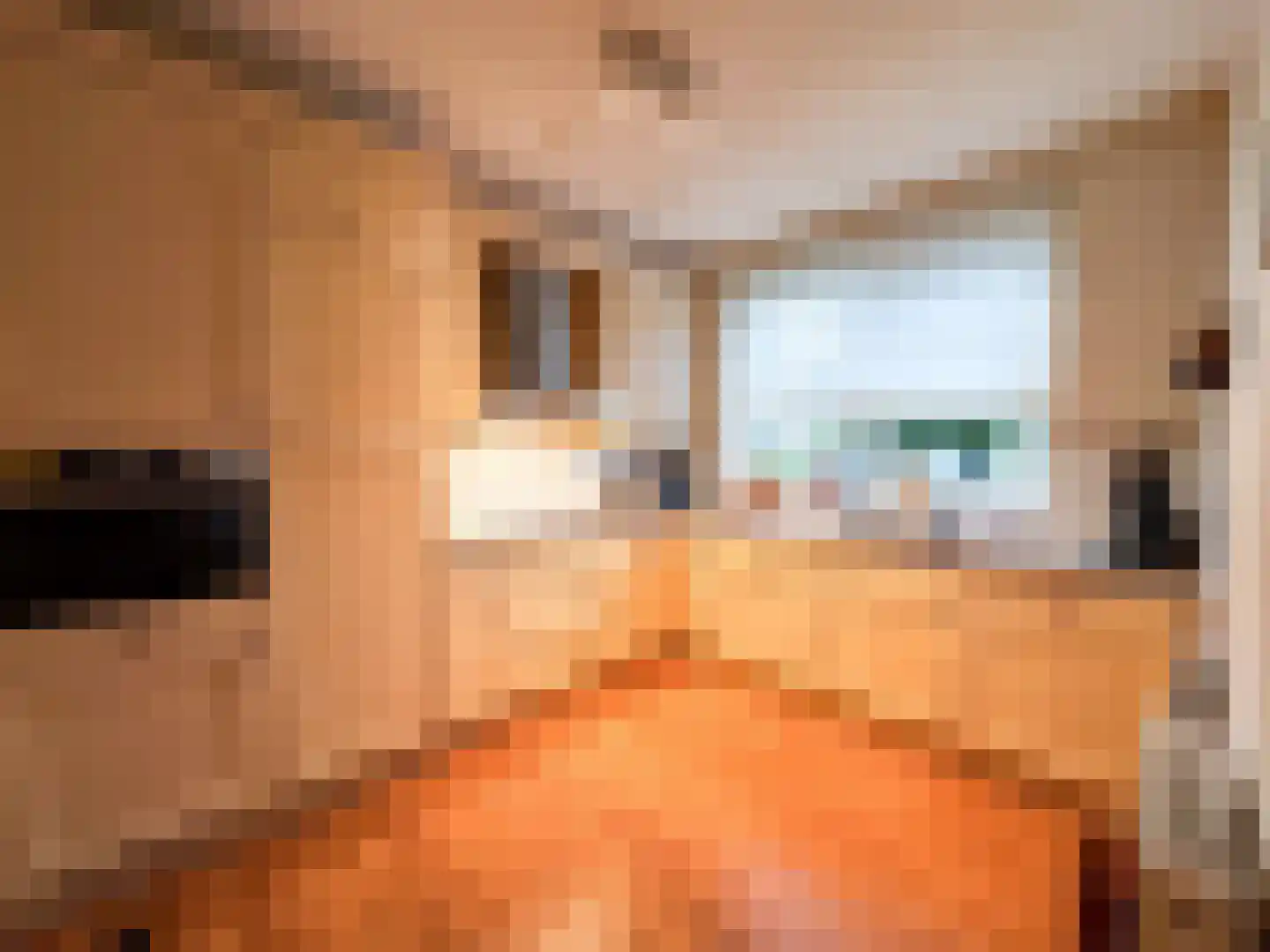 Het Laar 110 Zundert thumbnail 5