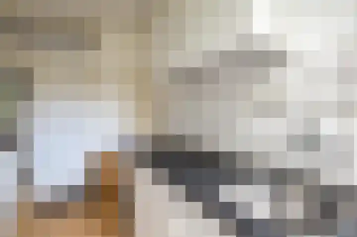 Het Laar 12 Deventer thumbnail 12