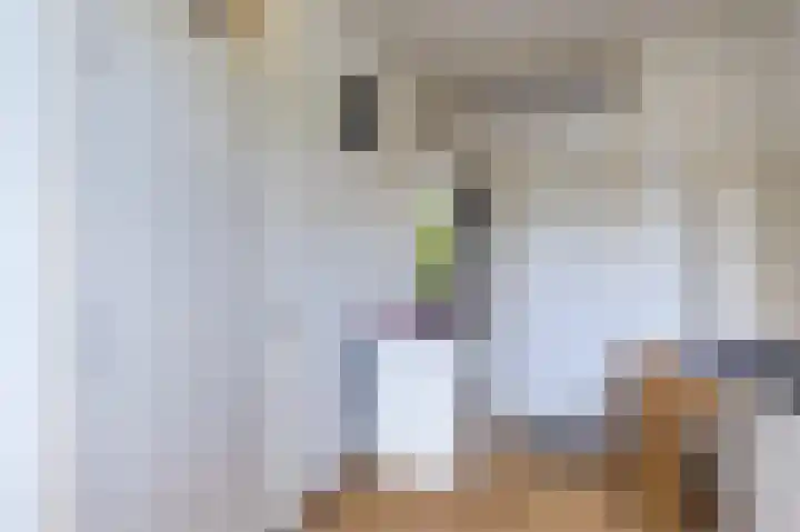 Het Laar 12 Deventer thumbnail 13