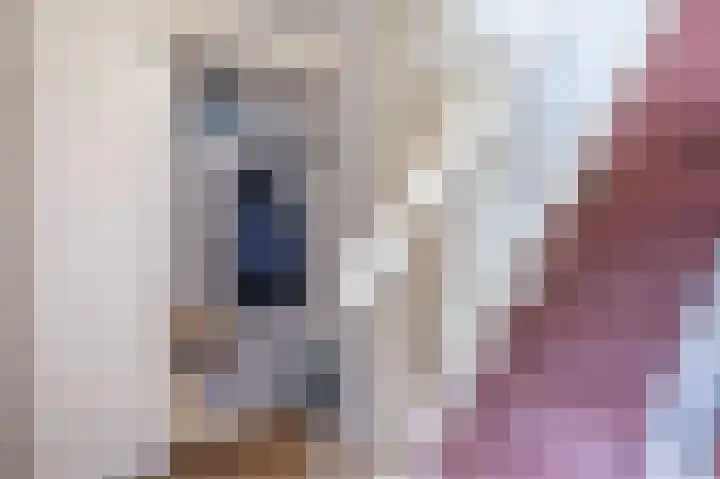 Het Laar 12 Deventer thumbnail 17