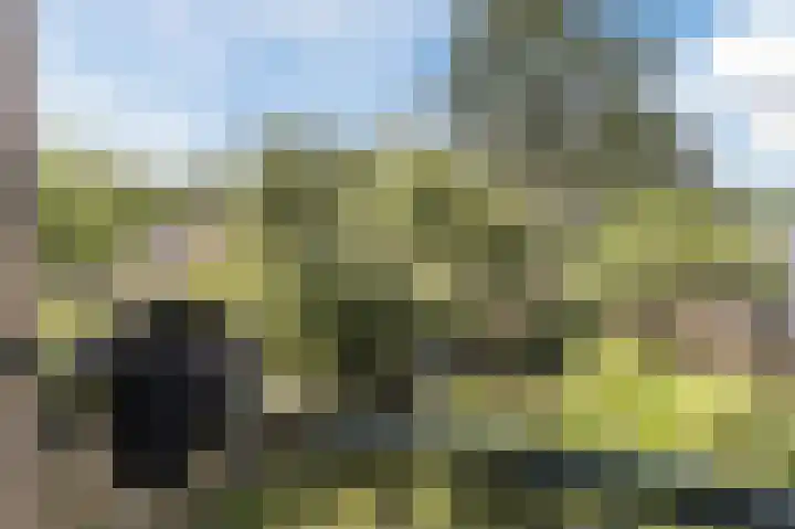 Het Laar 12 Deventer thumbnail 26