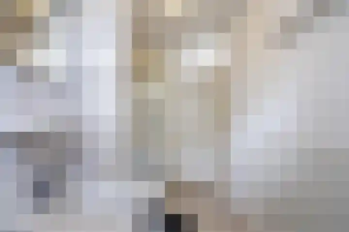 Het Laar 12 Deventer thumbnail 29