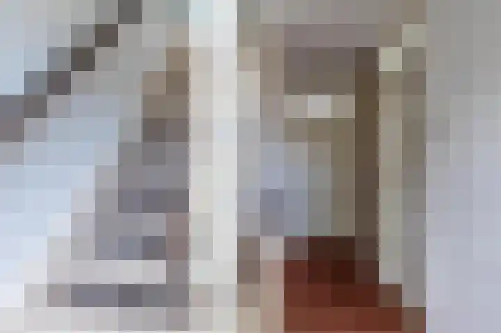 Het Laar 12 Deventer thumbnail 31