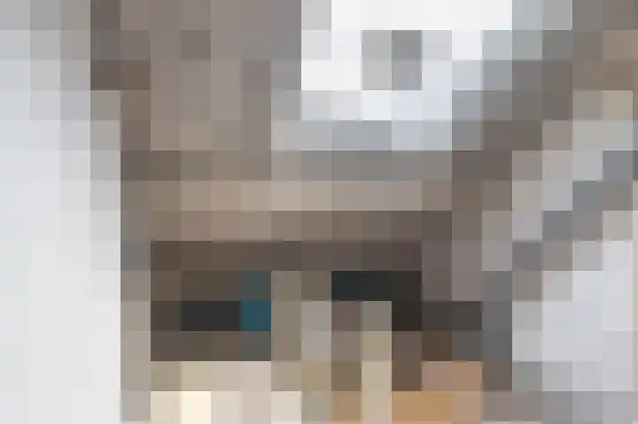 Het Laar 12 Deventer thumbnail 36