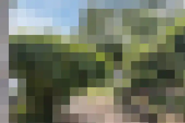Het Laar 12 Deventer thumbnail 39