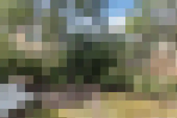 Het Laar 12 Deventer thumbnail 40
