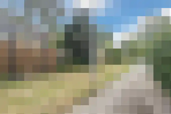 Het Laar 12 Deventer thumbnail 41