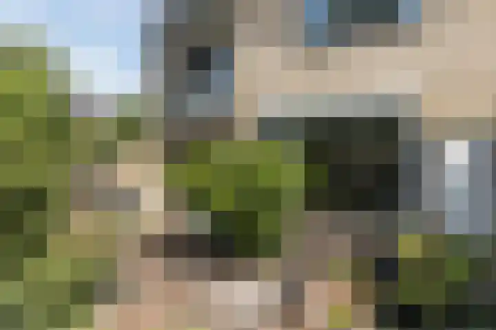 Het Laar 12 Deventer thumbnail 42
