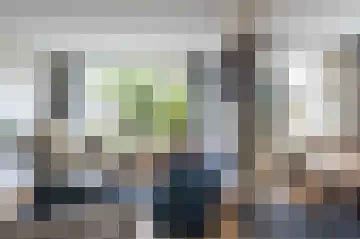 Het Laar 12 Deventer thumbnail 5