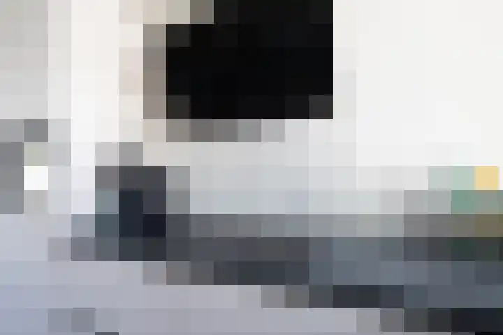 Het Laar 16 Almelo thumbnail 12