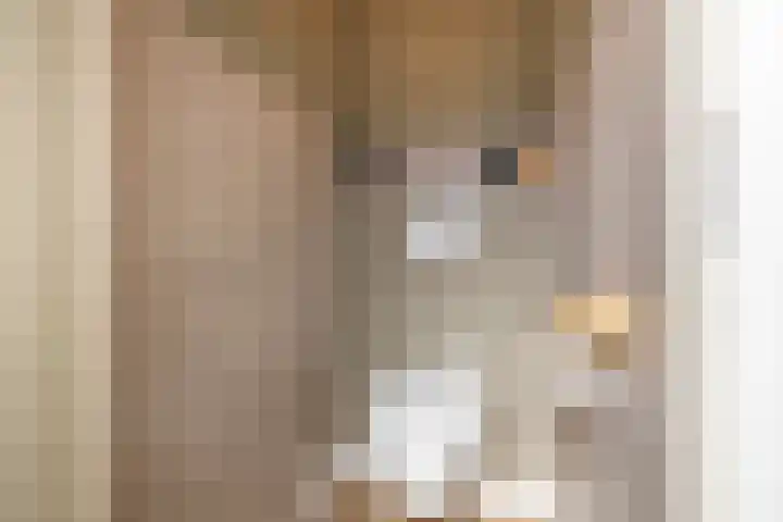 Het Laar 16 Almelo thumbnail 13